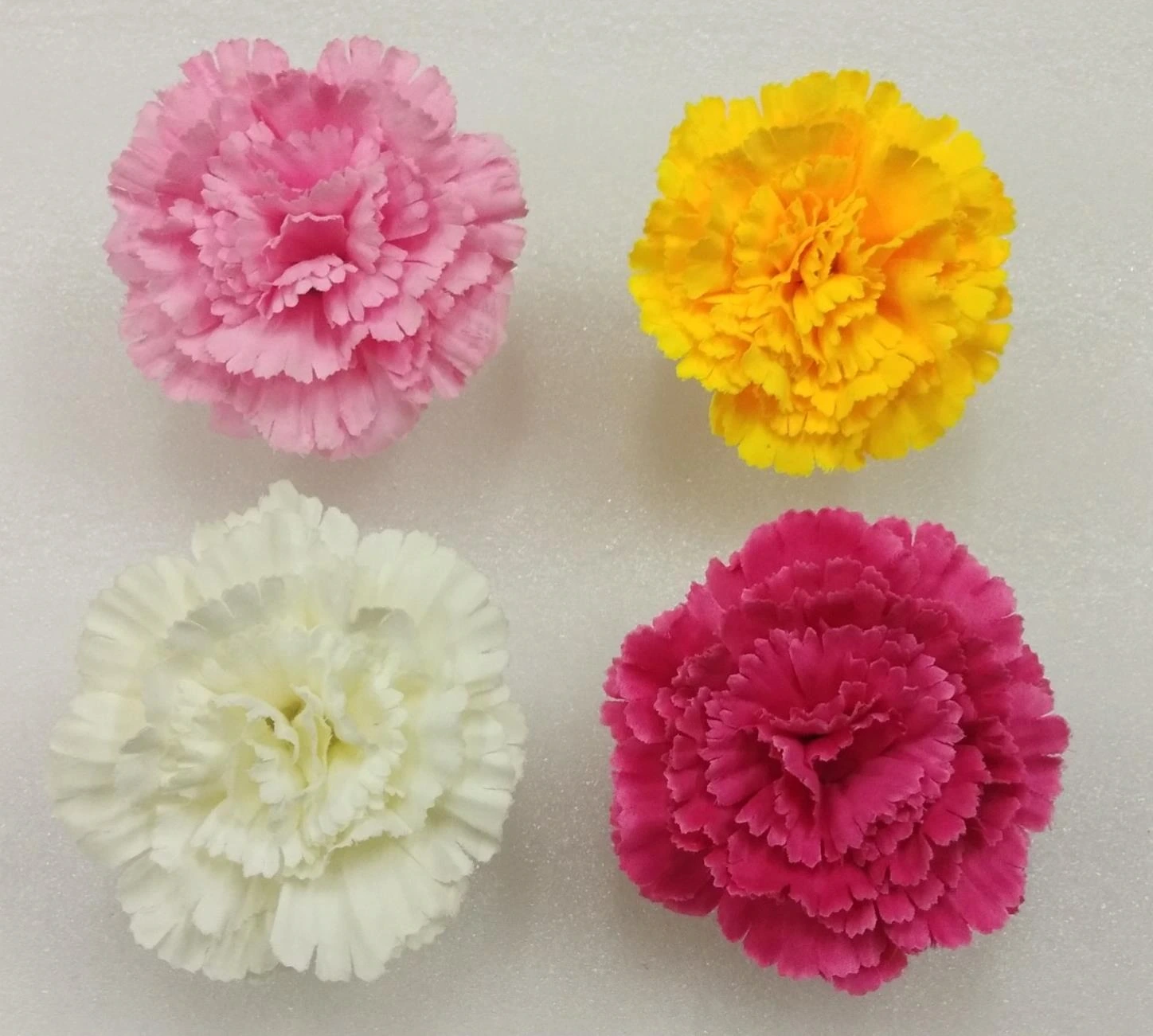 Carnation Soft Big